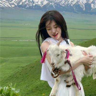 浪漫医生金师傅2